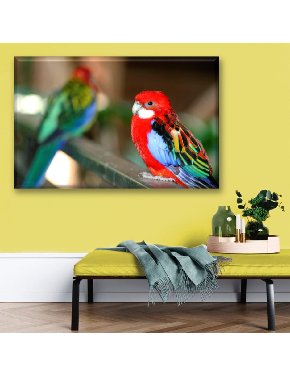 Cuadro decorativo Perico elegante 2