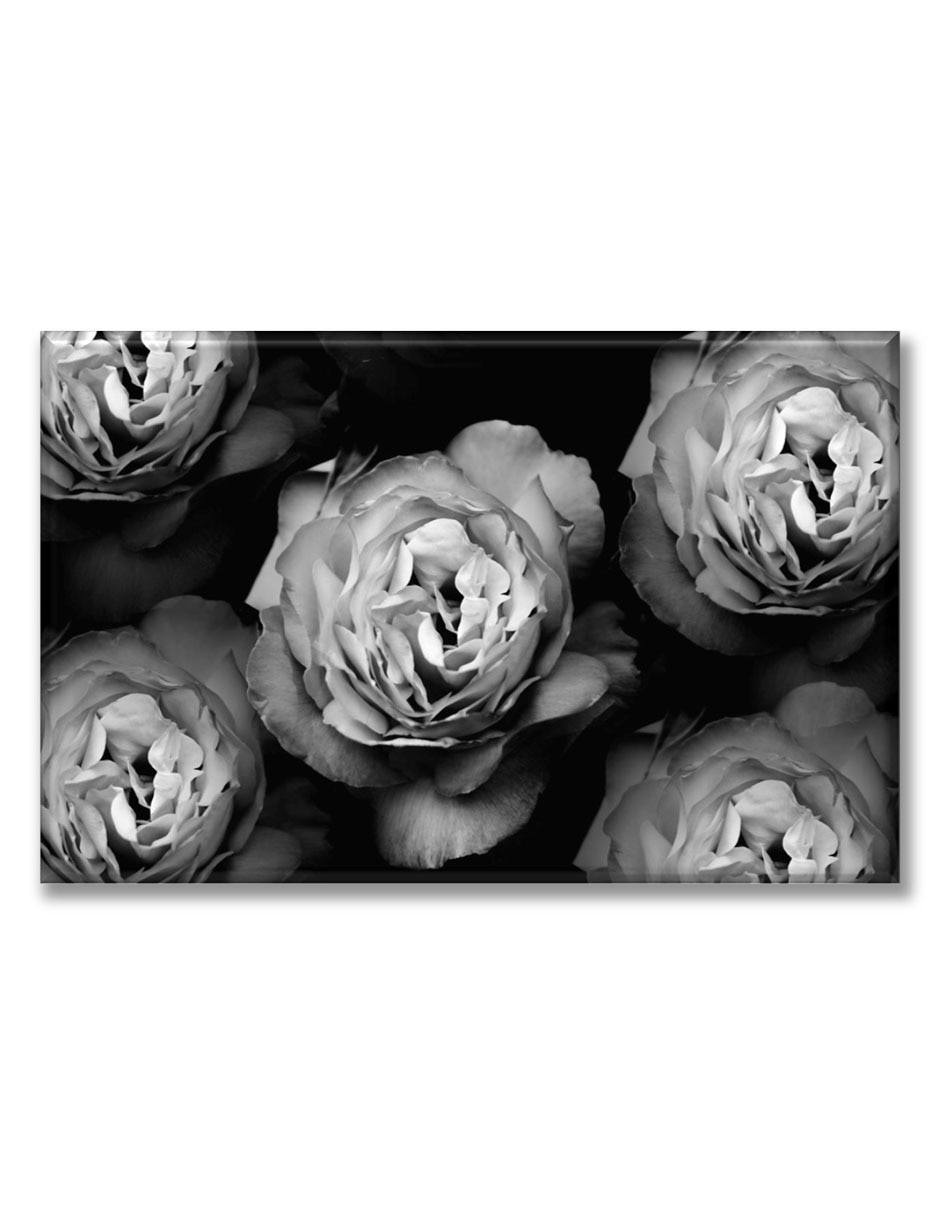 Cuadro decorativo Rosas en blanco y negro