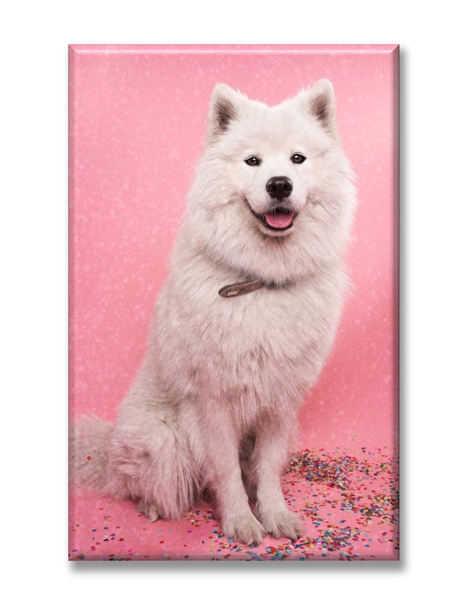 Cuadro decorativo Perro brillantina