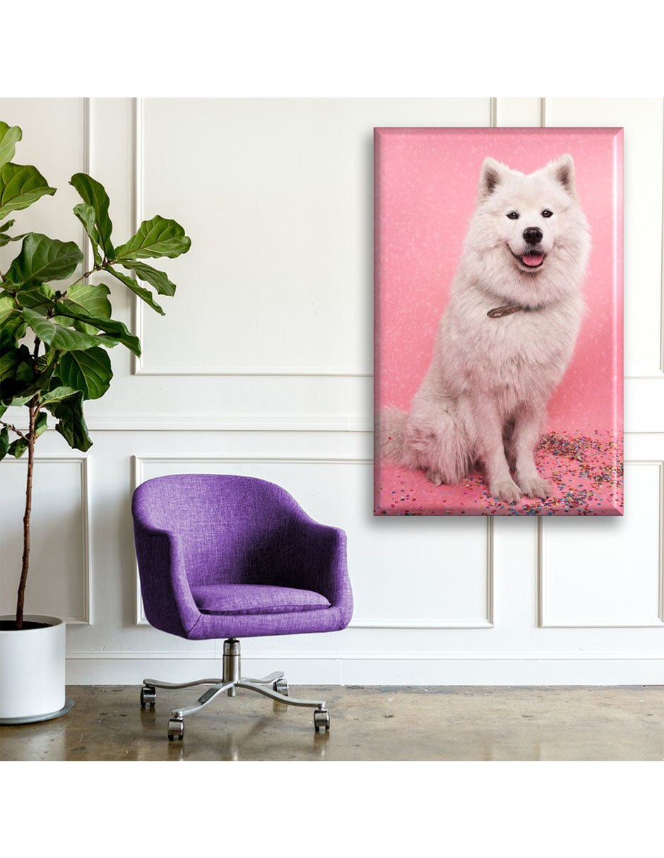 Cuadro decorativo Perro brillantina 2