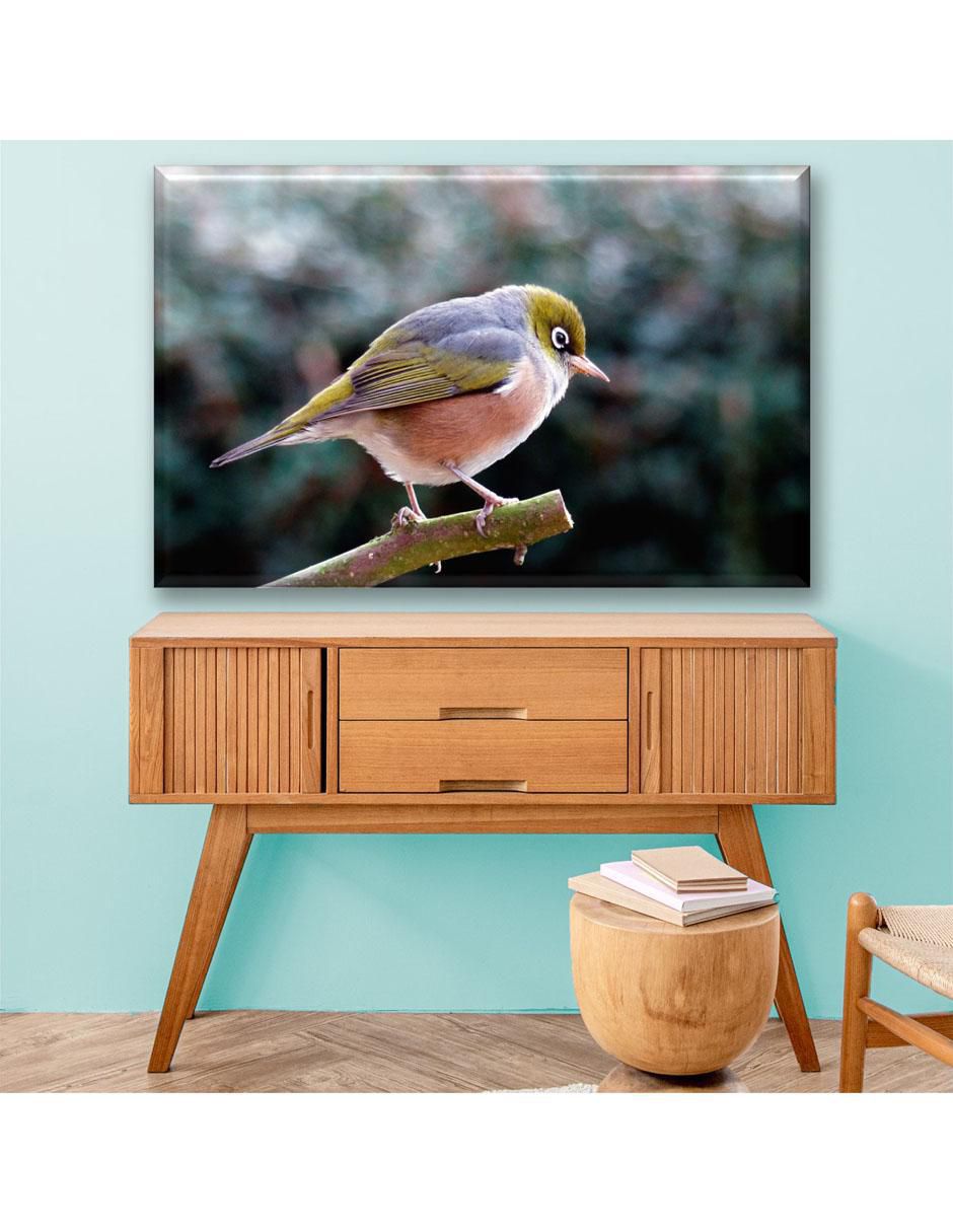 Cuadro decorativo Anteojitos dorsigrís 3