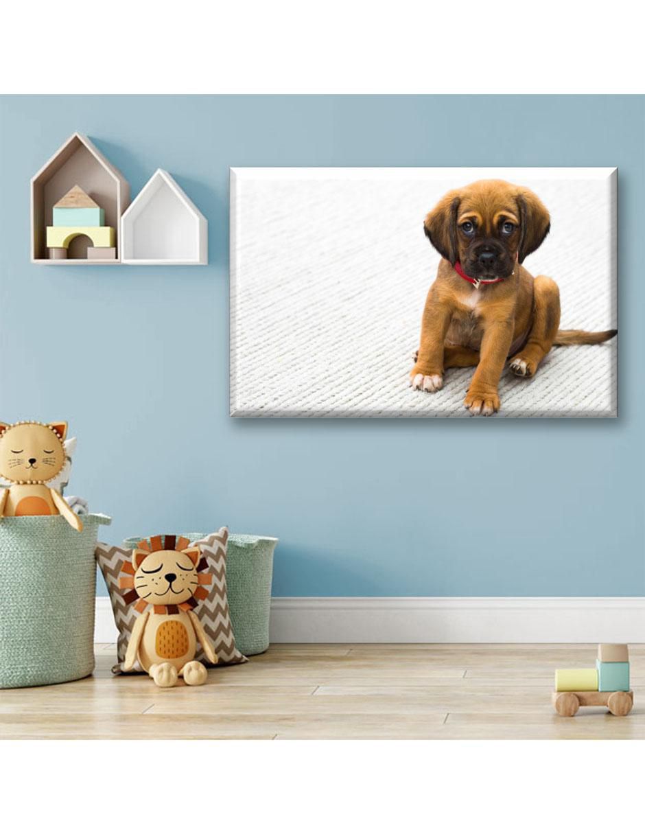 Cuadro decorativo Cachorro bóxer 3