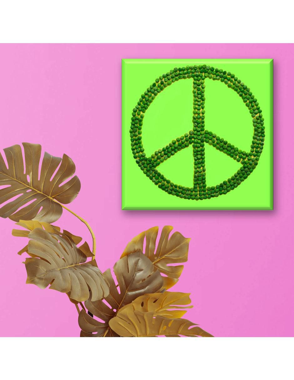Cuadro decorativo Símbolo de amor y paz 3