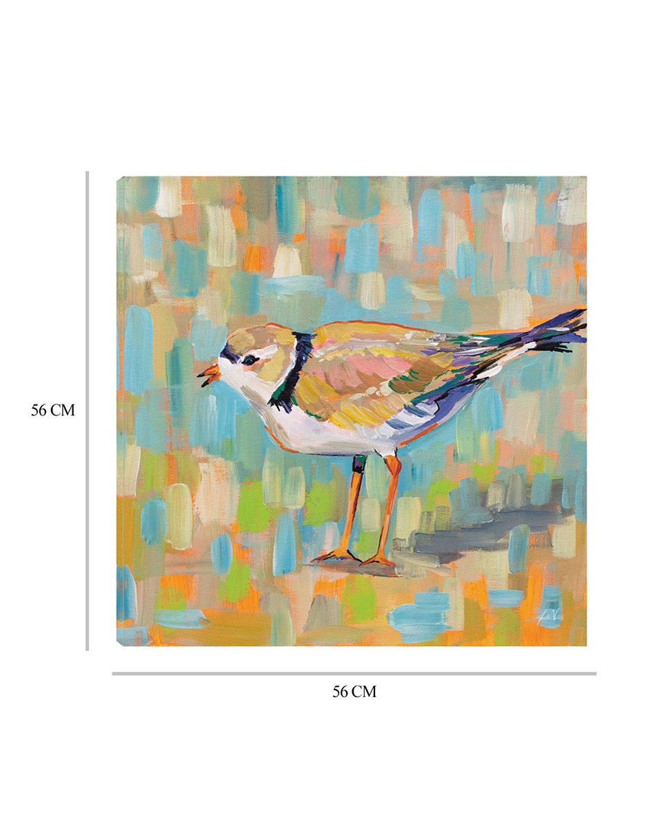 Cuadro decorativo Chorlito Costero IV técnica mixta Aves Silvestres 2