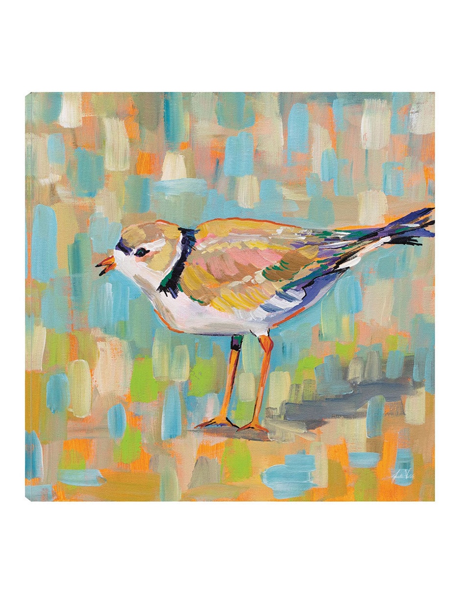 Cuadro decorativo Chorlito Costero IV técnica mixta Aves Silvestres
