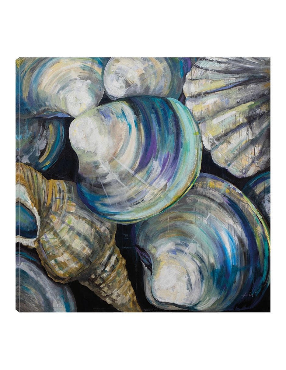 Cuadro decorativo Conchas del Key West técnica mixta Animales Marinos