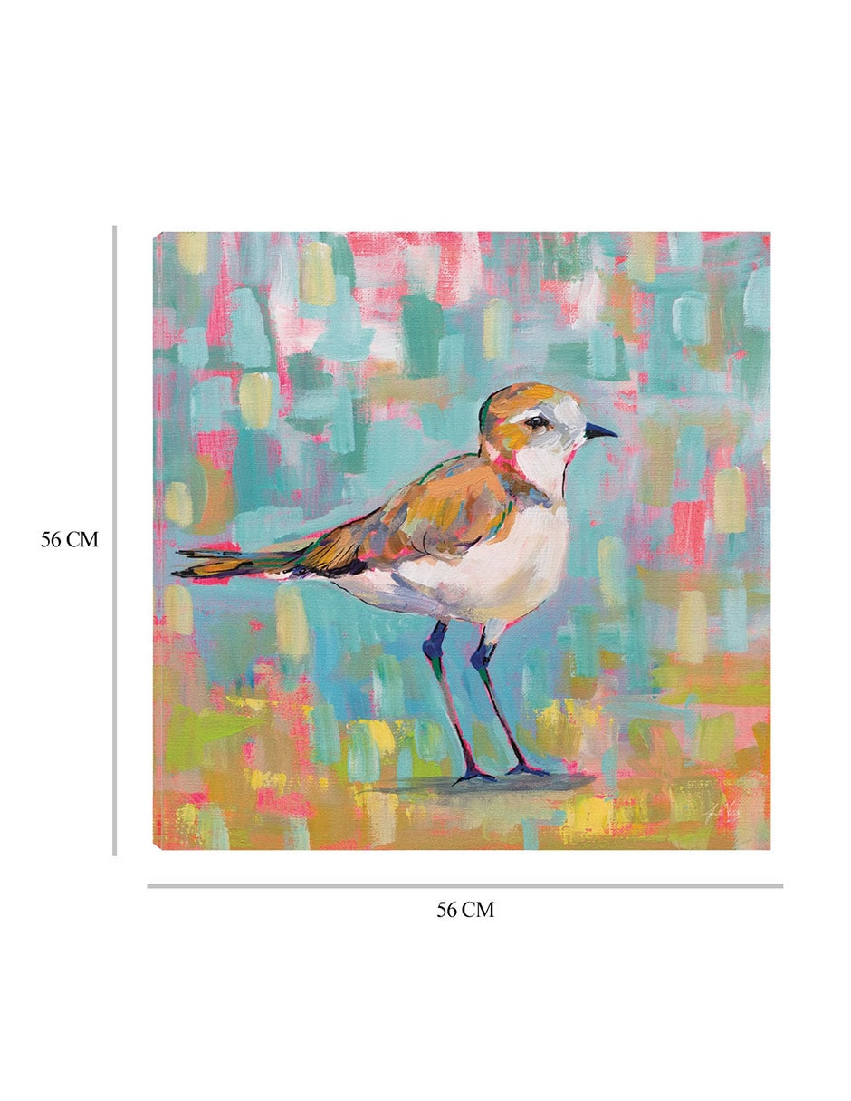 Cuadro decorativo Chorlito Costero III técnica mixta Aves Silvestres 8