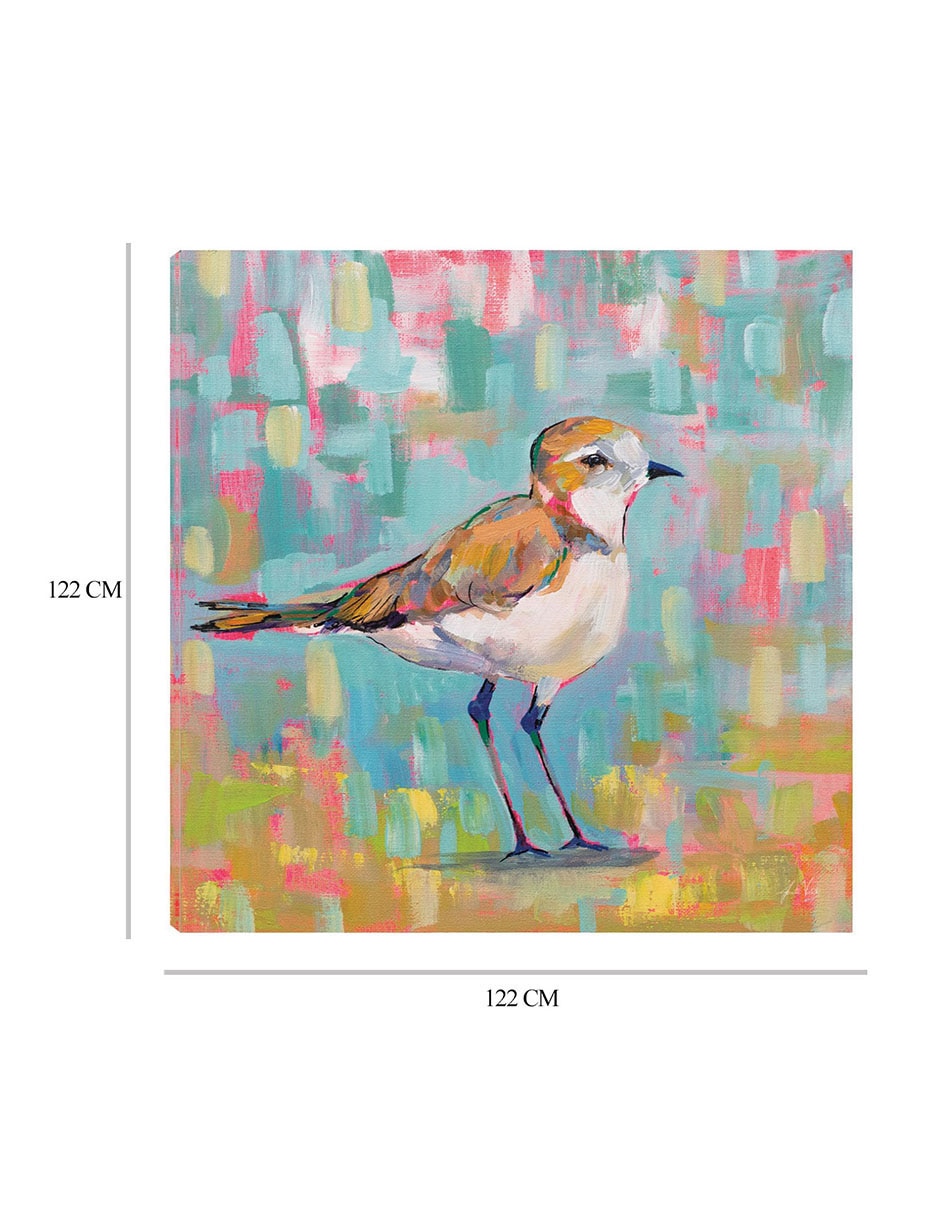 Cuadro decorativo Chorlito Costero III técnica mixta Aves Silvestres 2