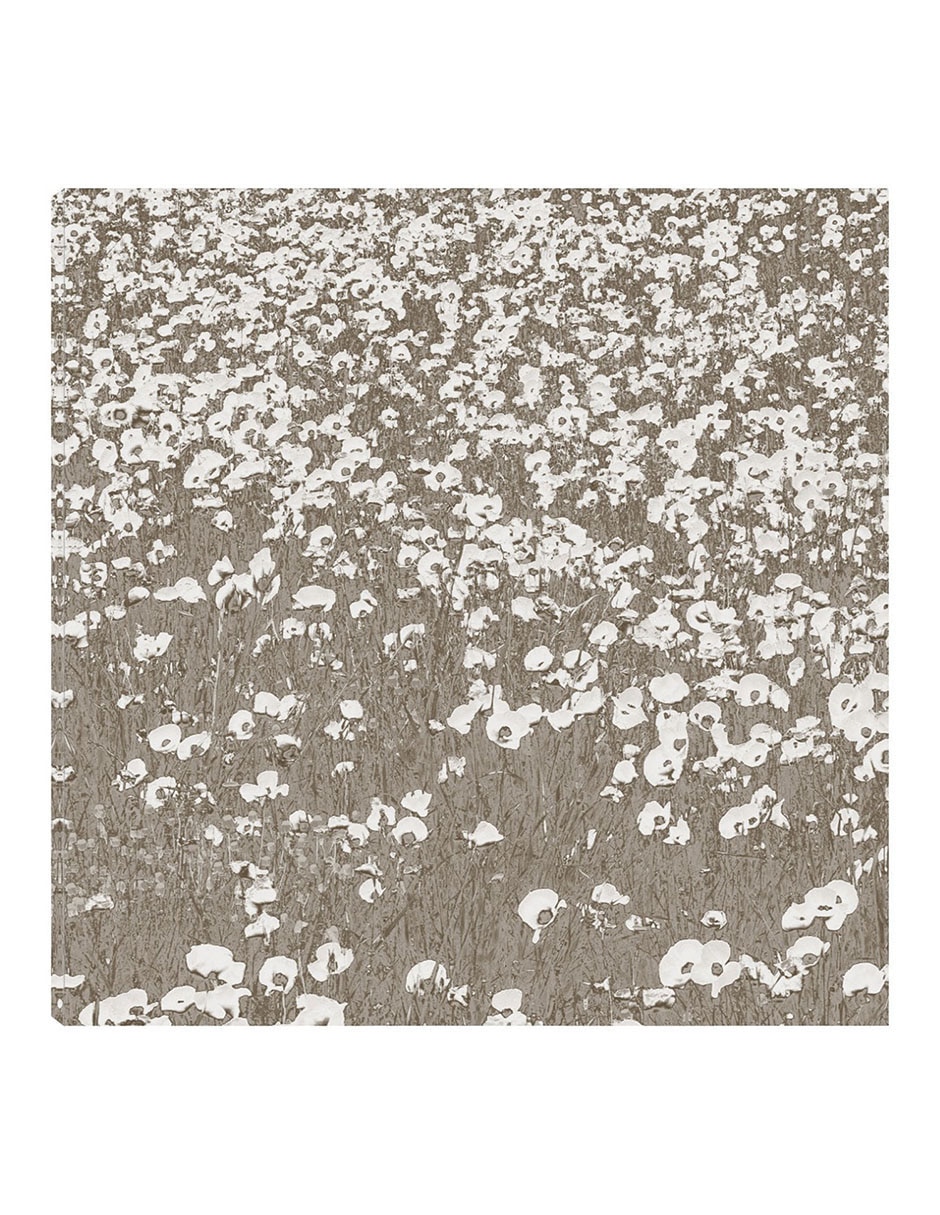 Cuadro decorativo Campos neutrales técnica mixta Primavera