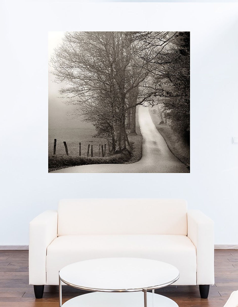 Cuadro decorativo Camino al bosque técnica mixta Bosques 5