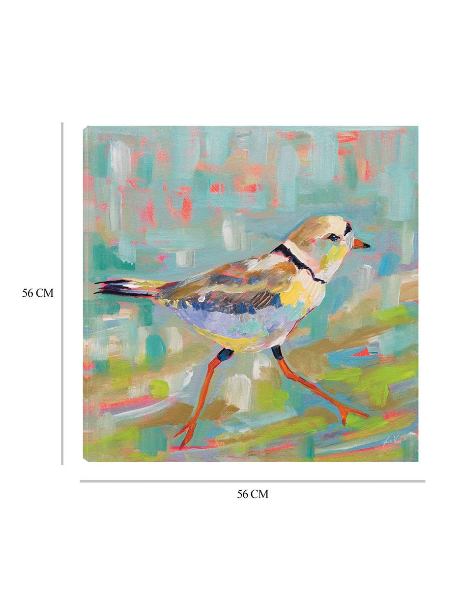 Cuadro decorativo Chorlito Costero I técnica mixta Aves Silvestres 3