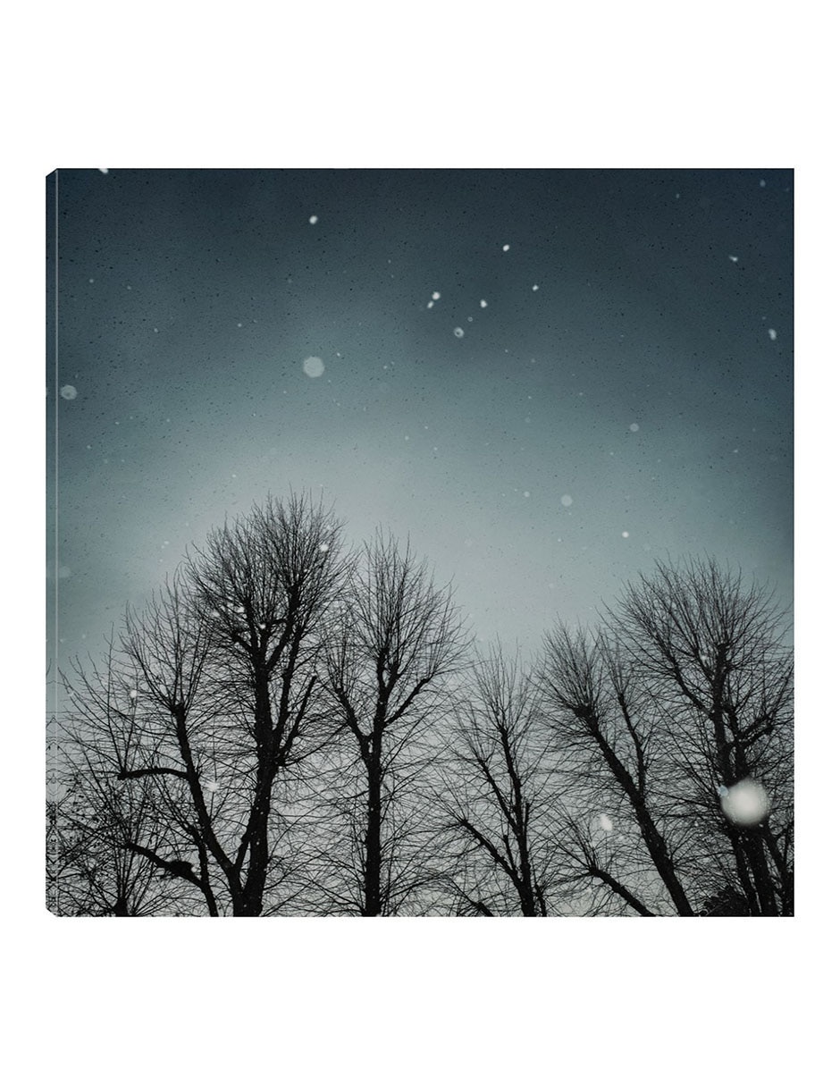 Cuadro decorativo Cielo de invierno técnica mixta Bosques