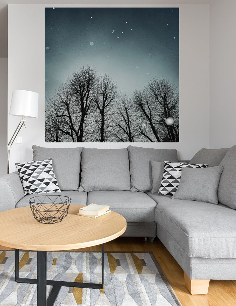 Cuadro decorativo Cielo de invierno técnica mixta Bosques 5