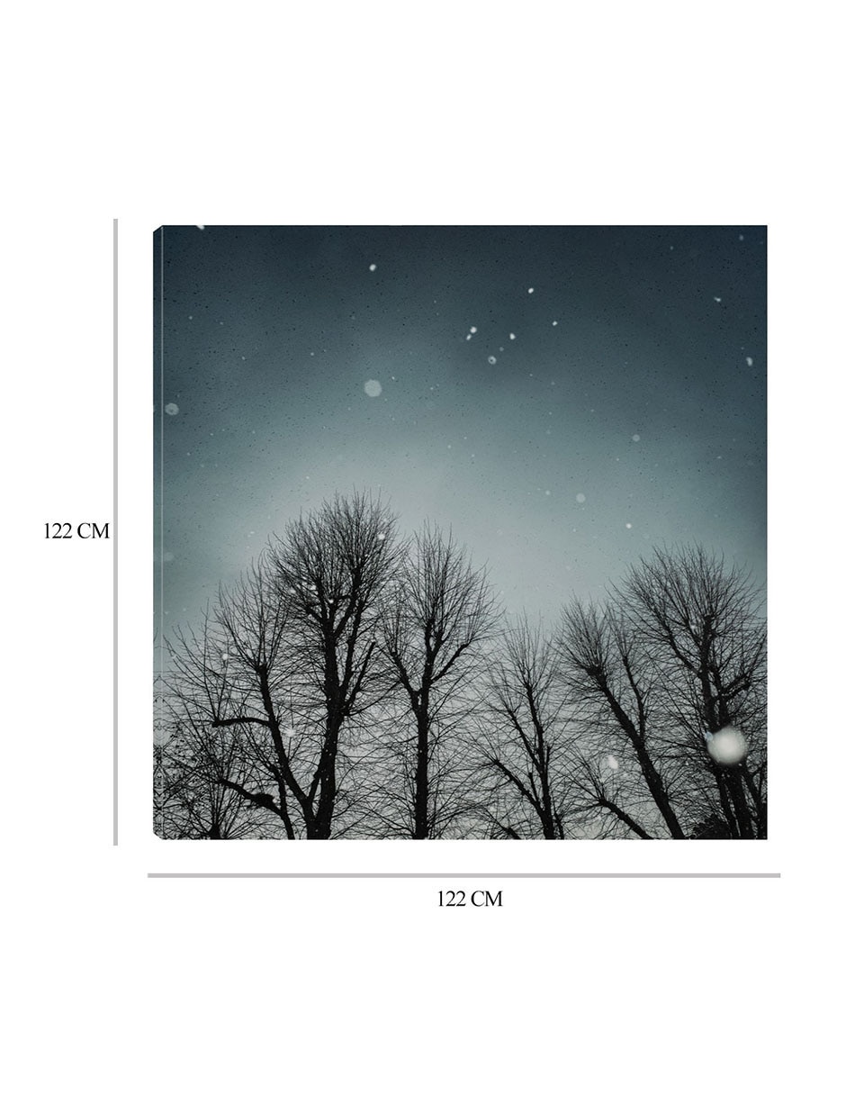 Cuadro decorativo Cielo de invierno técnica mixta Bosques 2