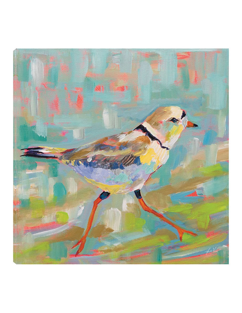 Cuadro decorativo Chorlito Costero I técnica mixta Aves Silvestres Cuadro decorativo Chorlito Costero I técnica mixta Aves Silvestres