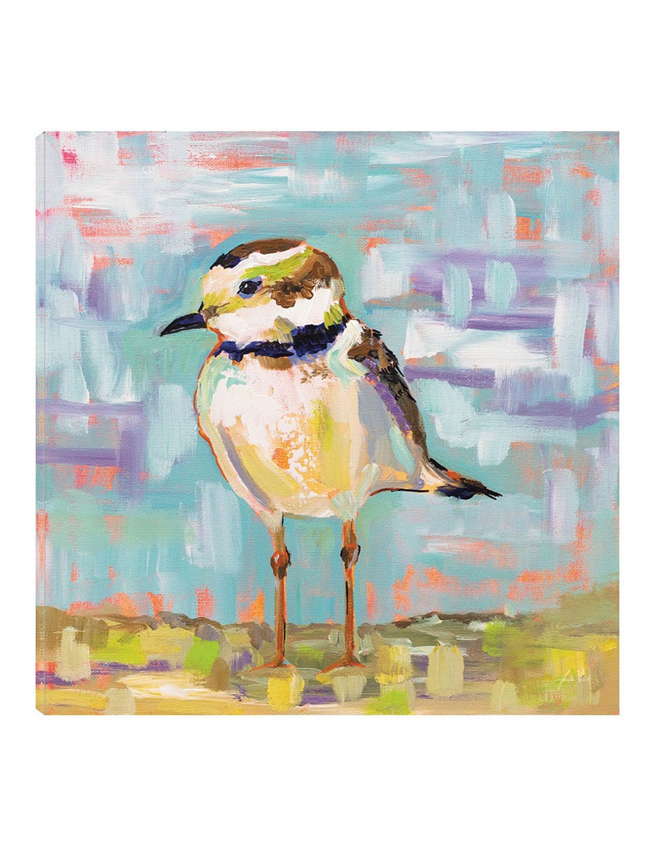 Cuadro decorativo Chorlito Costero II técnica mixta Aves Silvestres
