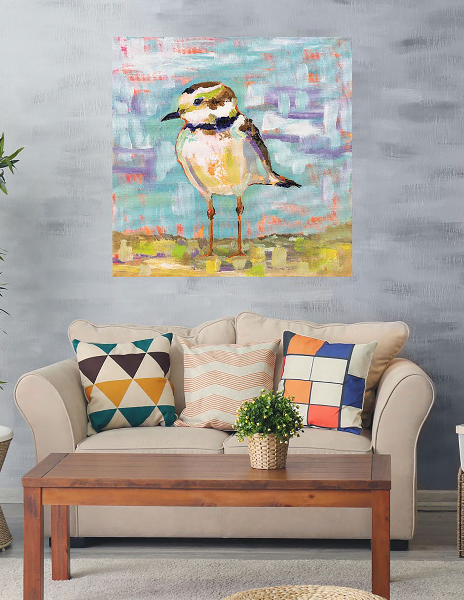 Cuadro decorativo Chorlito Costero II técnica mixta Aves Silvestres 3