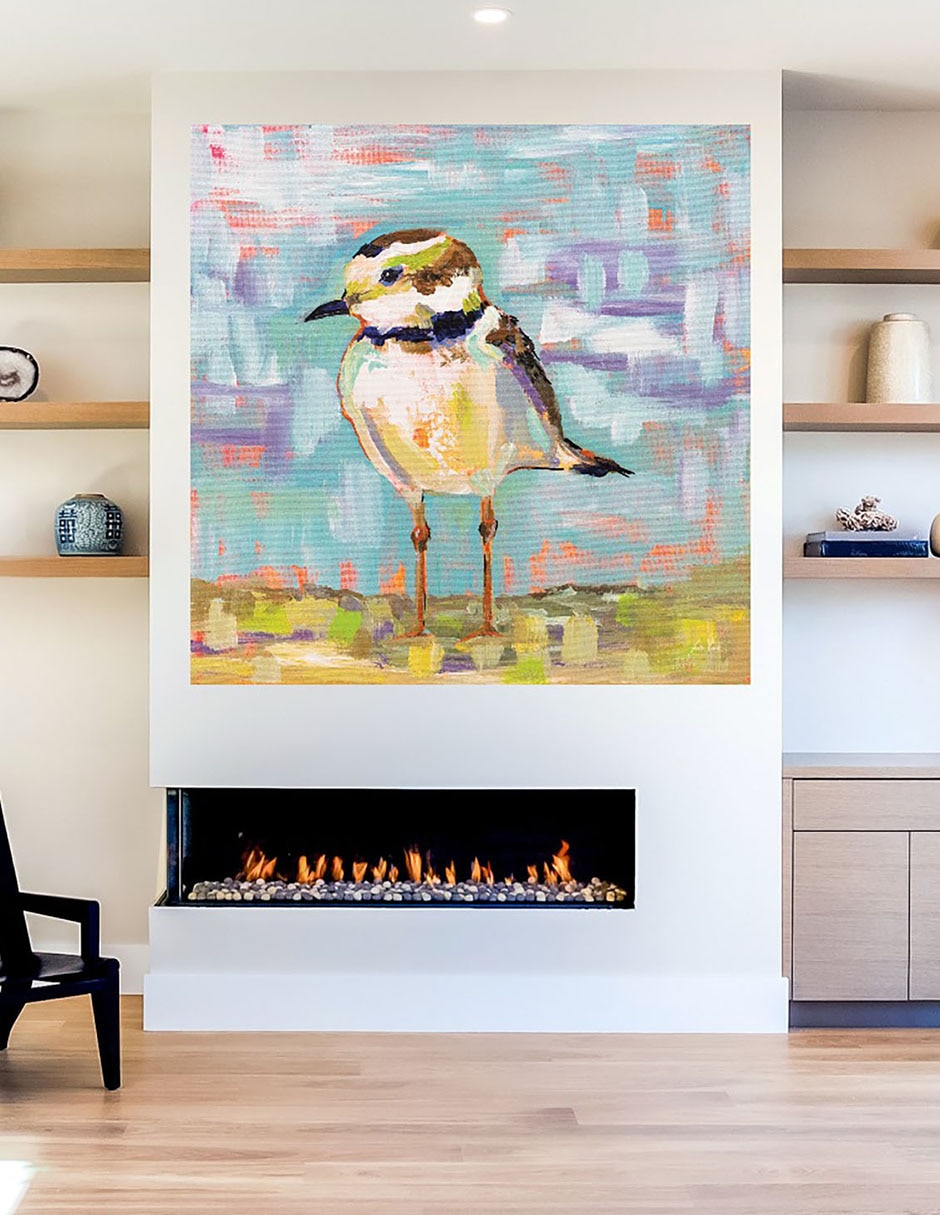 Cuadro decorativo Chorlito Costero II técnica mixta Aves Silvestres 6