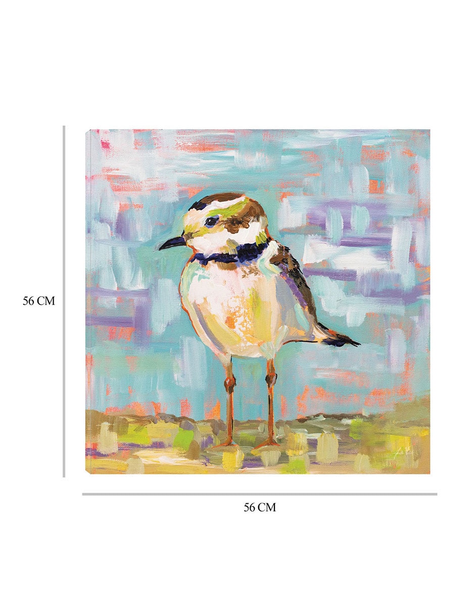 Cuadro decorativo Chorlito Costero II técnica mixta Aves Silvestres 2