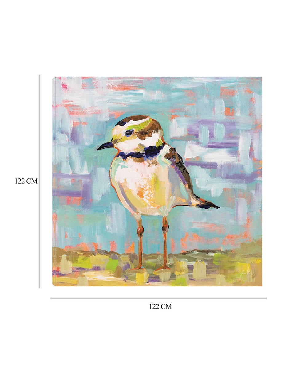 Cuadro decorativo Chorlito Costero II técnica mixta Aves Silvestres 2