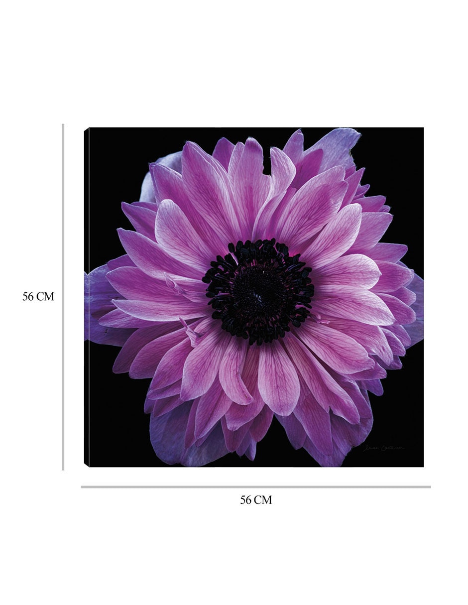Cuadro decorativo Cosecha de anémona morada técnica mixta Floración 7
