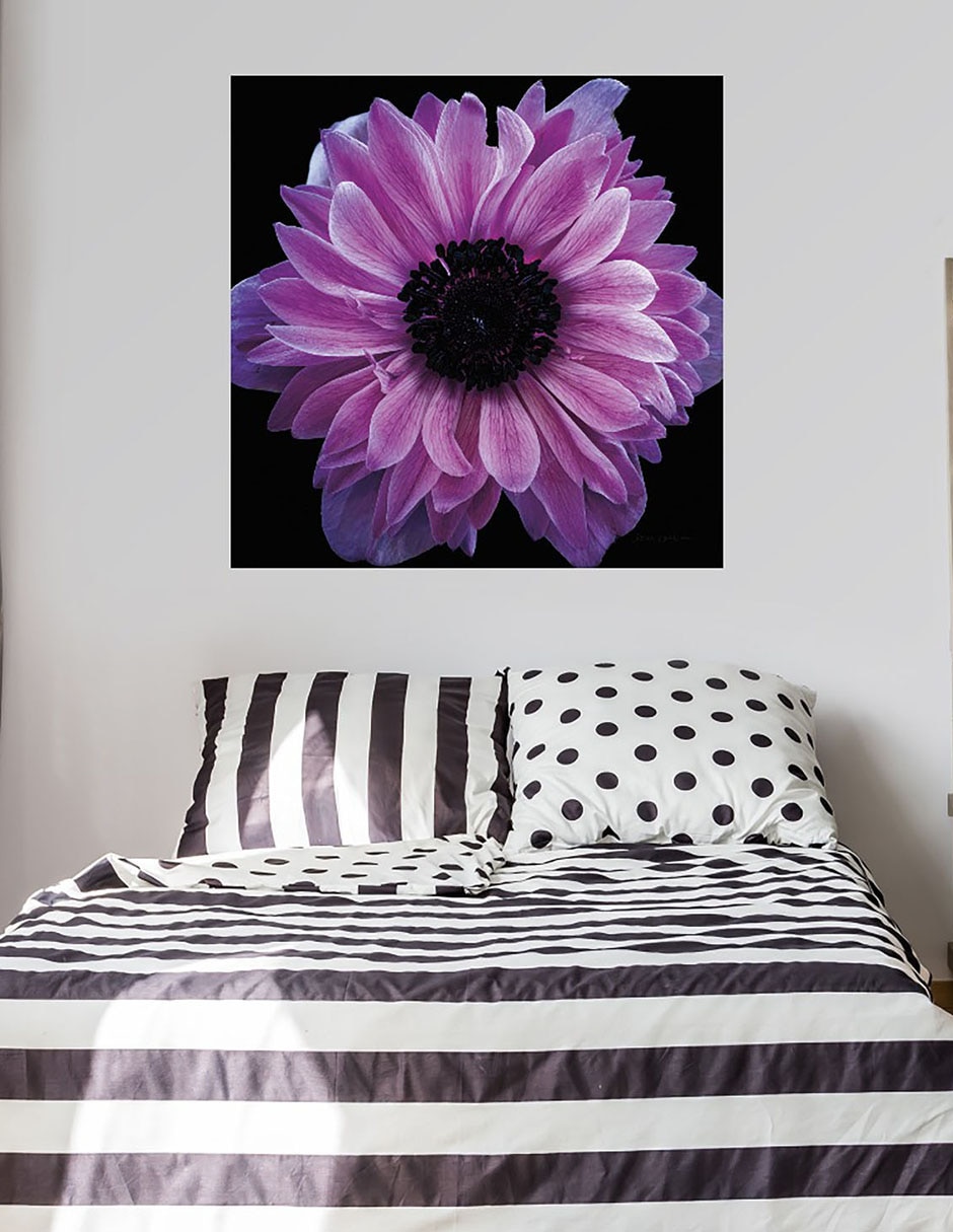 Cuadro decorativo Cosecha de anémona morada técnica mixta Floración 2