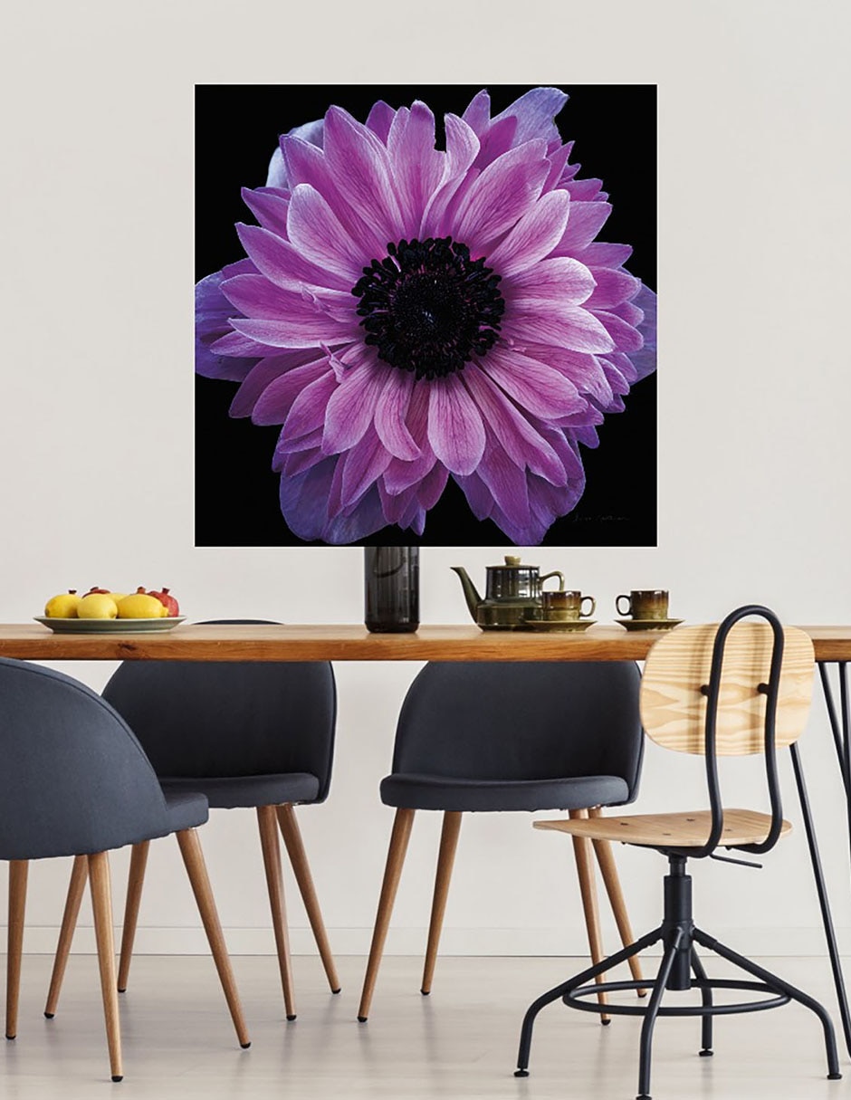 Cuadro decorativo Cosecha de anémona morada técnica mixta Floración 3