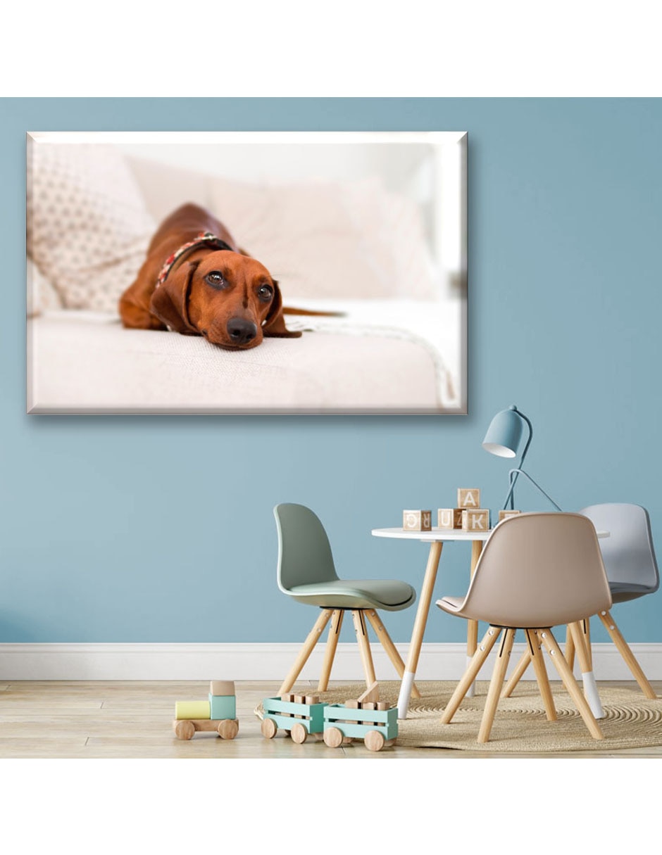 Cuadro decorativo Perrito salchicha 2