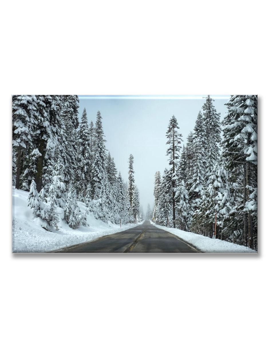 Cuadro decorativo Camino en la nieve