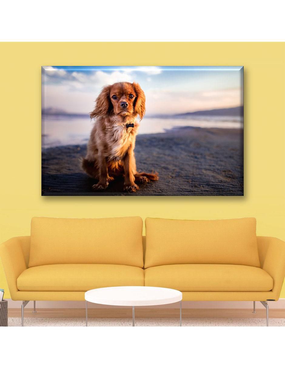 Cuadro decorativo Toy spaniel en la playa 3