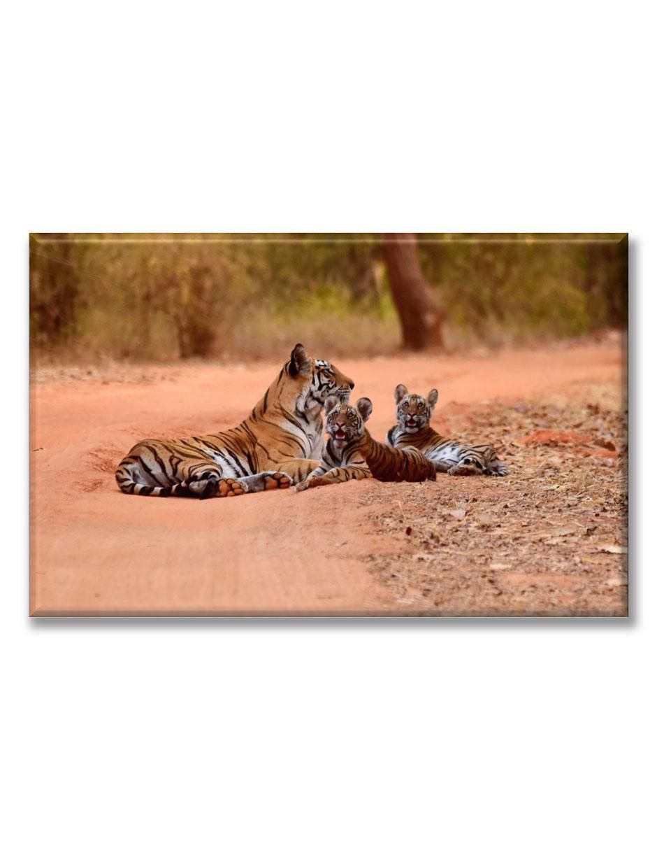 Cuadro decorativo Familia de tigres Cuadro decorativo Familia de tigres