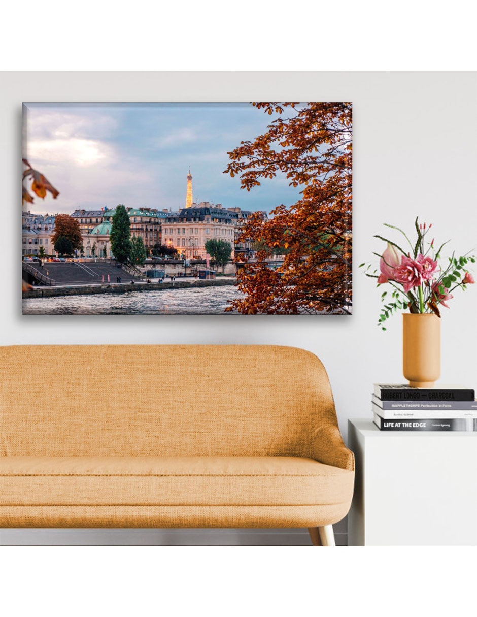 Cuadro decorativo Lago en parís 2