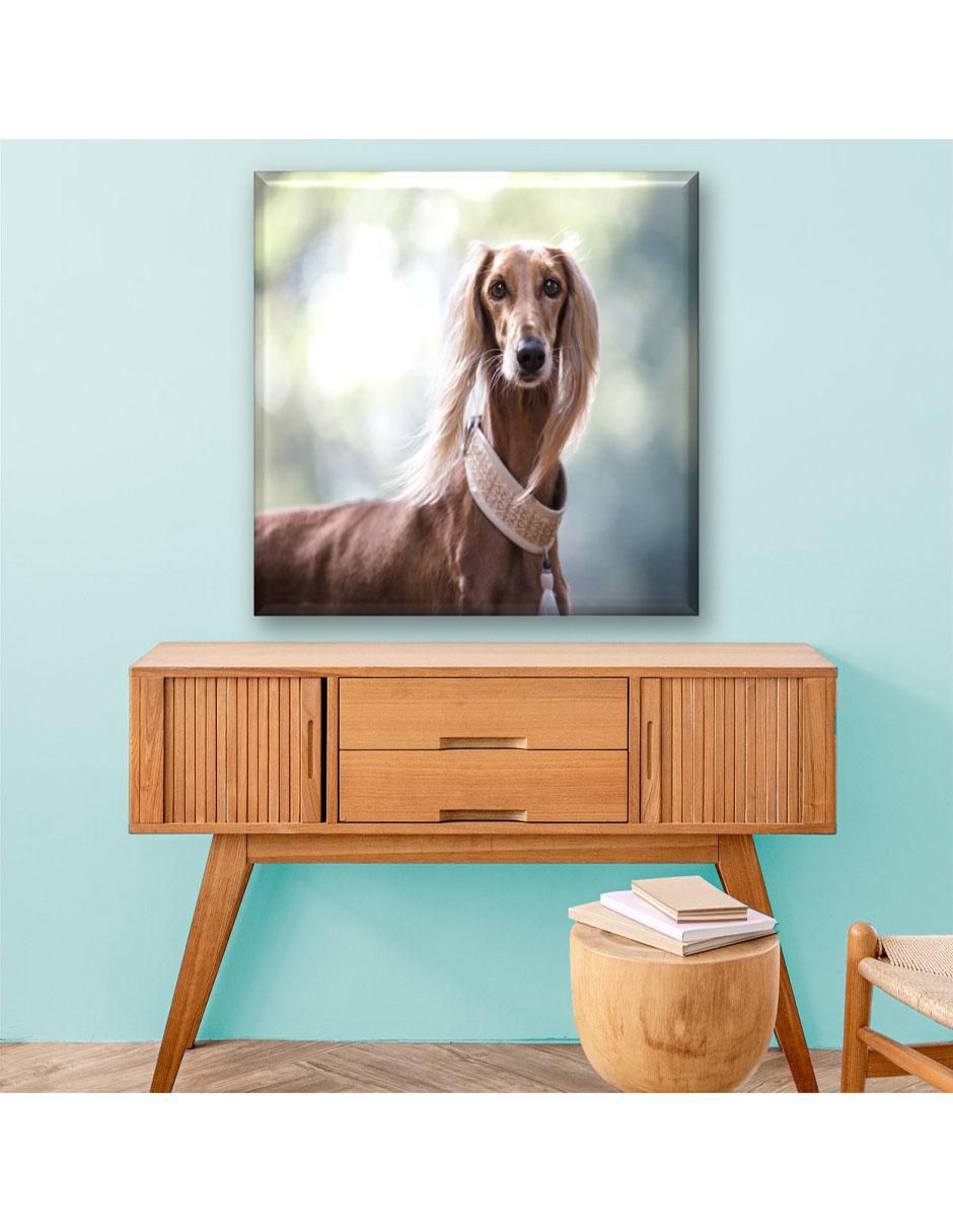 Cuadro decorativo Perro real de Egipto 3