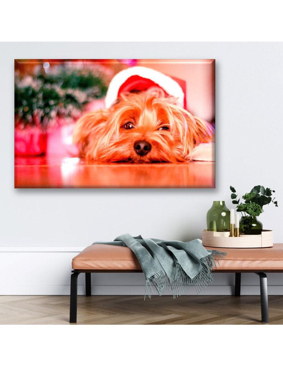 Cuadro decorativo Perrito navideño 4