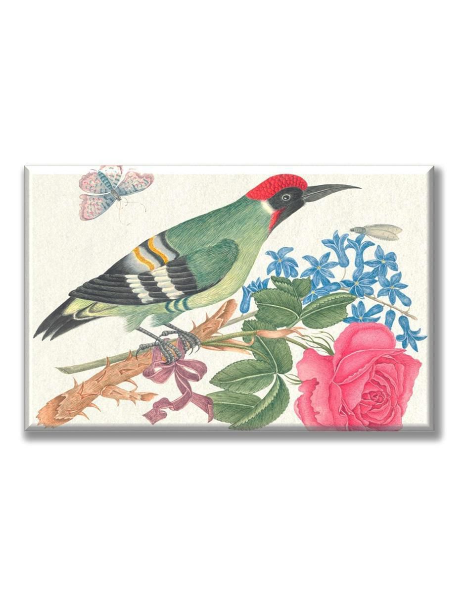 Cuadro decorativo Acuarela pájaro ilustración