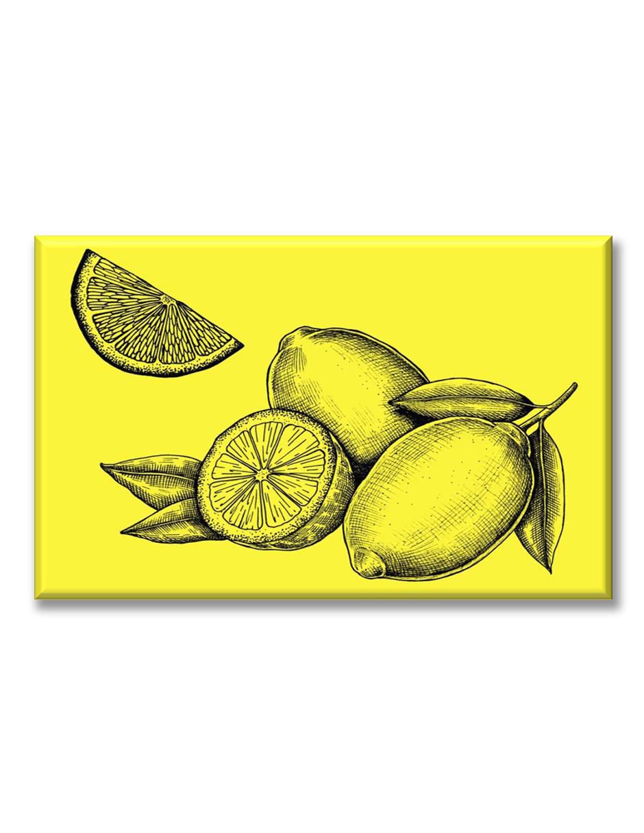Cuadro decorativo Limones a lápiz
