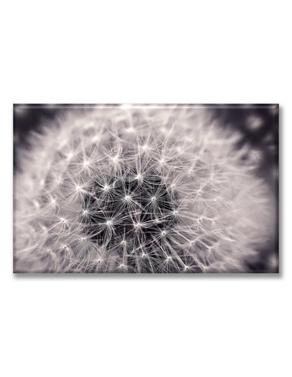 Cuadro decorativo Diente de leon Cuadro decorativo Diente de leon