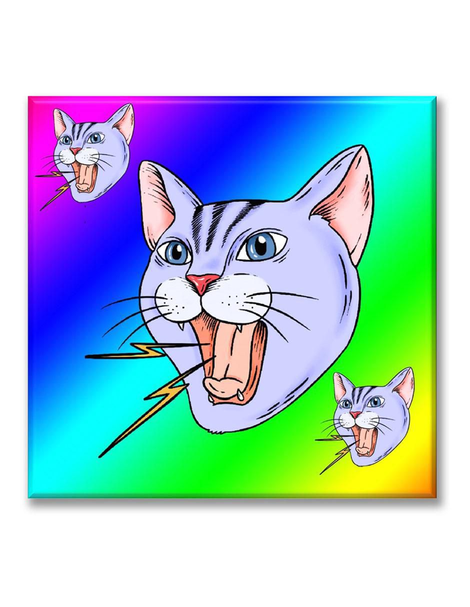 Cuadro decorativo Gato rayo