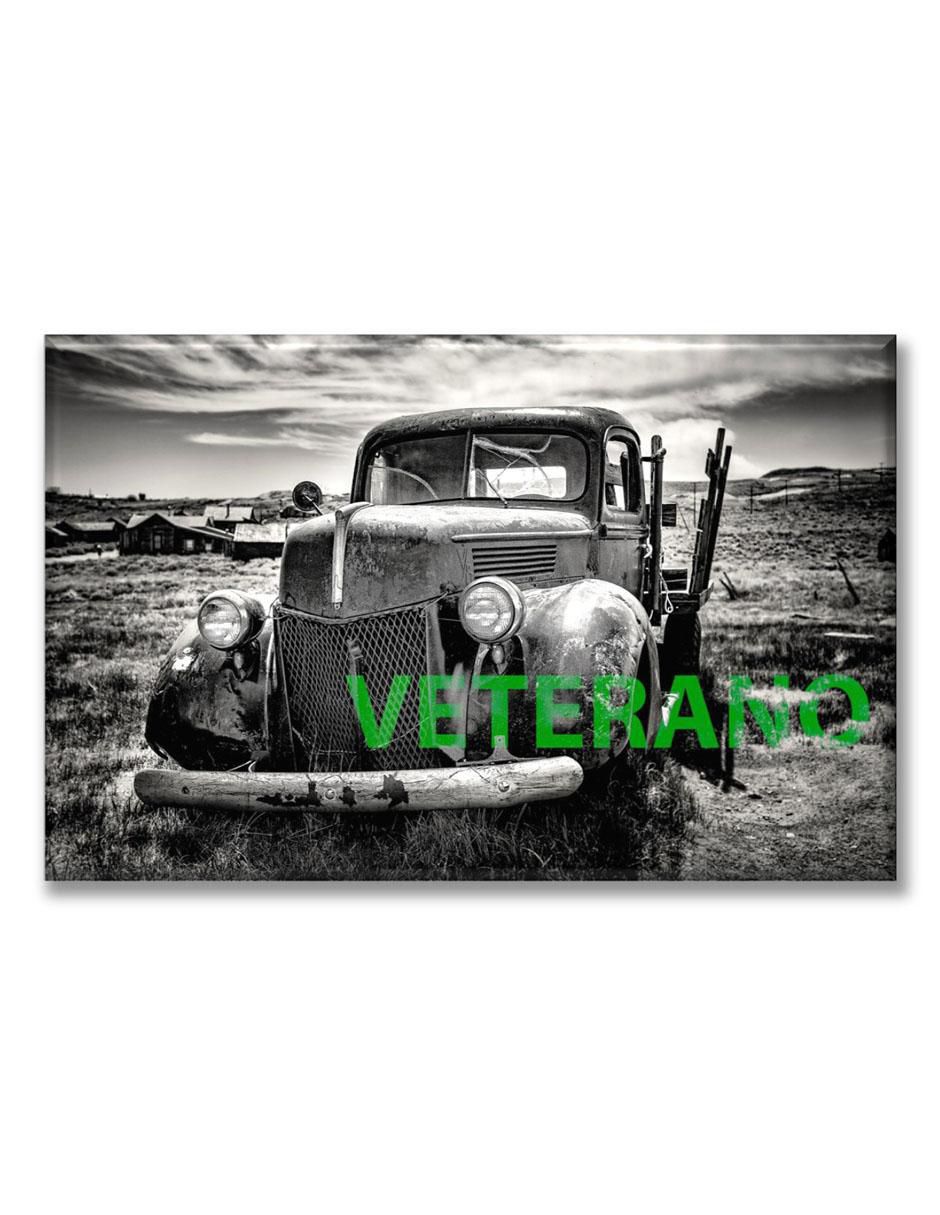 Cuadro decorativo Veterano