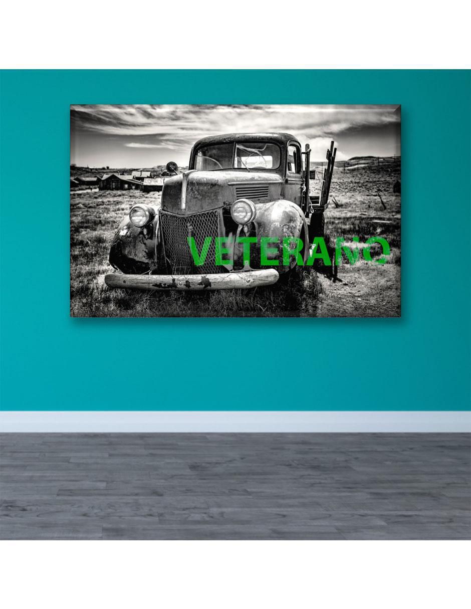 Cuadro decorativo Veterano 2