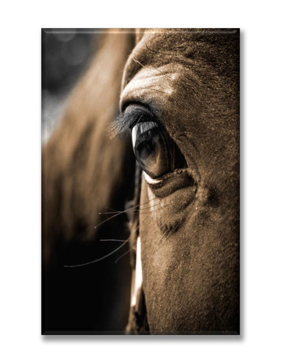 Cuadro decorativo Ojo de caballo