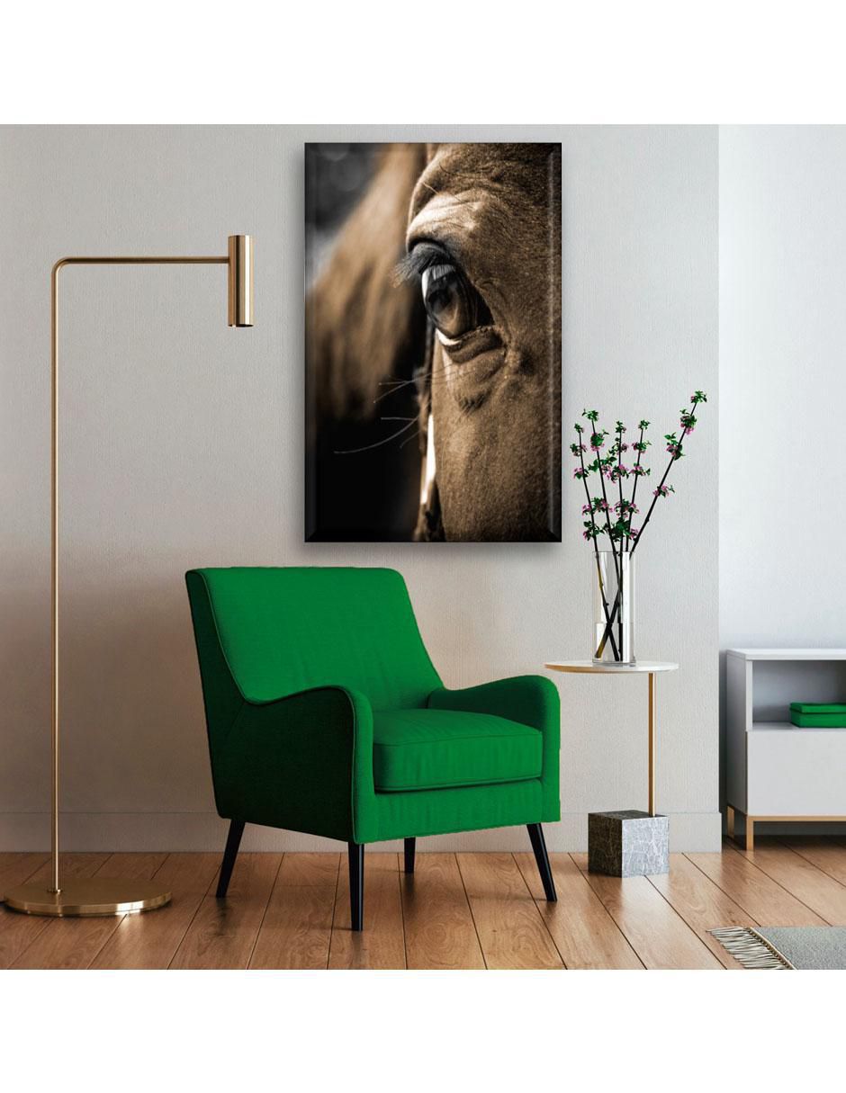 Cuadro decorativo Ojo de caballo 2