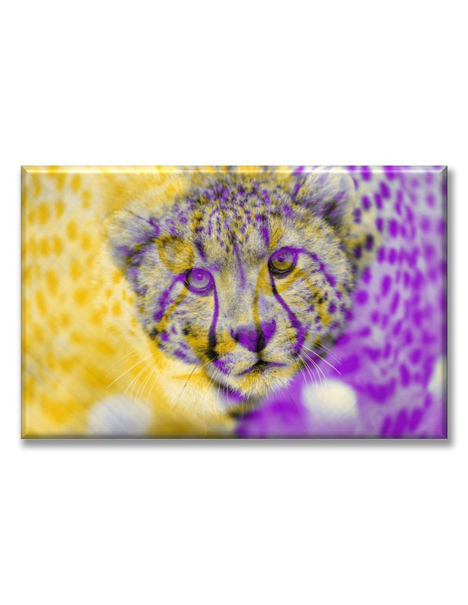 Cuadro decorativo Leopardo colores Cuadro decorativo Leopardo colores
