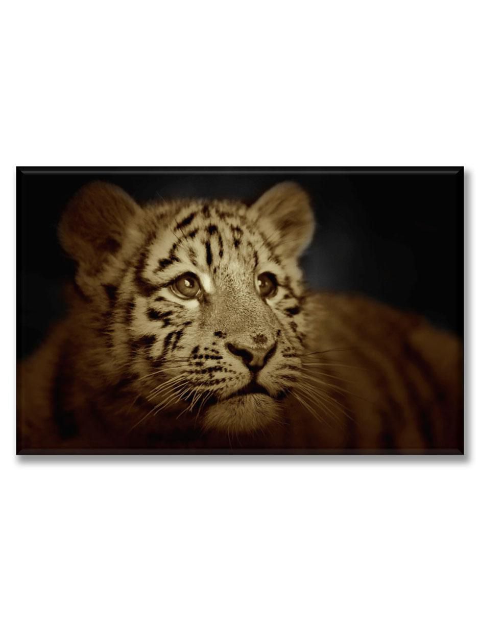 Cuadro decorativo Tigre cachorro