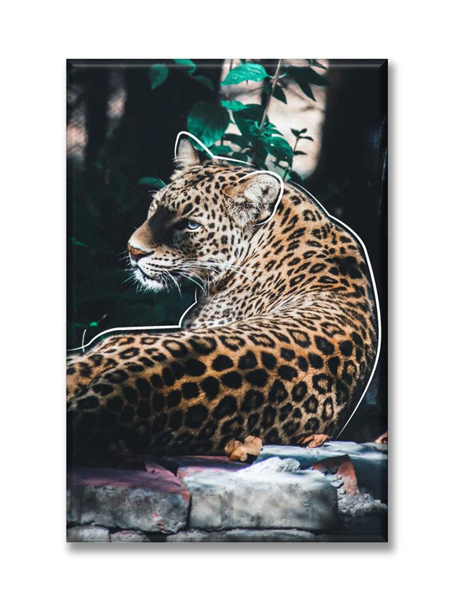 Cuadro decorativo Cheetah líneas Cuadro decorativo Cheetah líneas