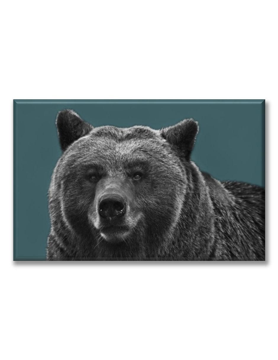 Cuadro decorativo Oso pardo Cuadro decorativo Oso pardo