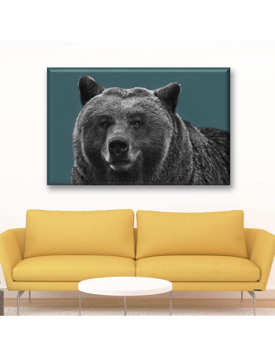 Cuadro decorativo Oso pardo 2