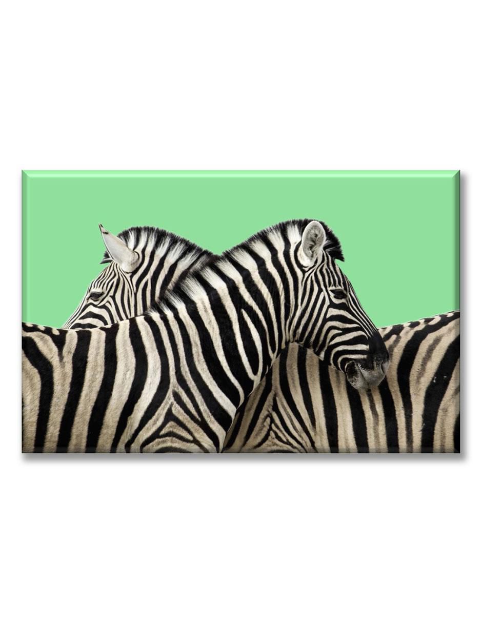 Cuadro decorativo Dos cebras