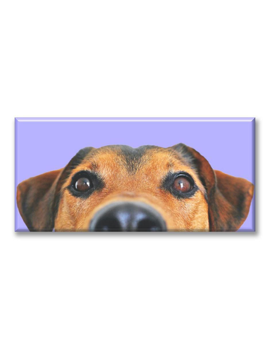 Cuadro decorativo Nariz de perro
