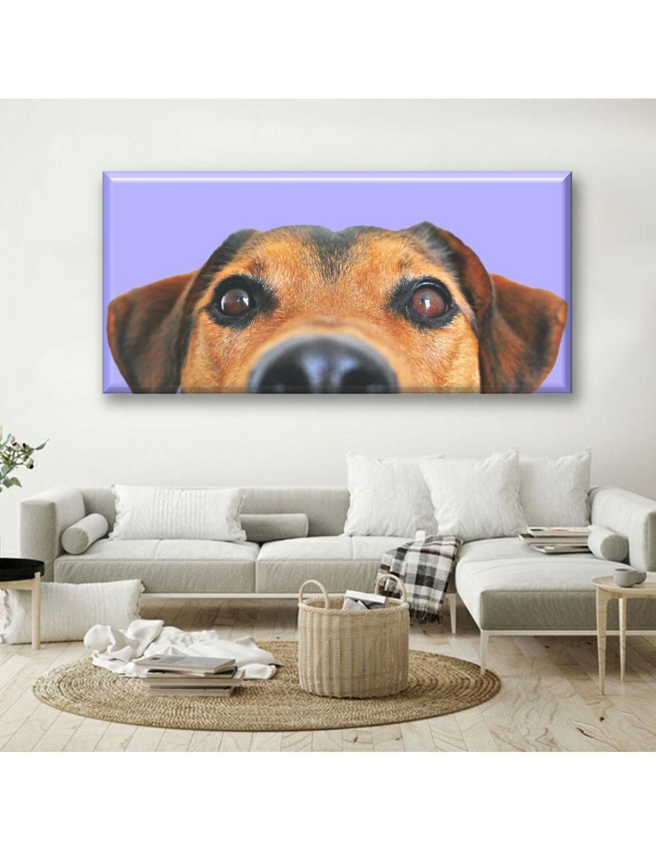 Cuadro decorativo Nariz de perro 2